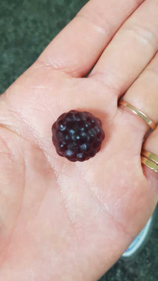 다솜이마마님이 올린 리뷰 사진 4