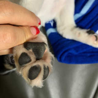 sunny님이 올린 리뷰 사진 2