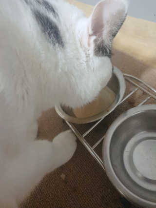 쑈쮸님님이 올린 리뷰 사진 3