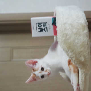 BoramKim님이 올린 리뷰 사진 3