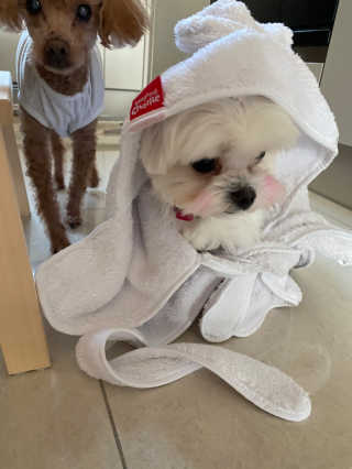 황방울이님이 올린 리뷰 사진 3