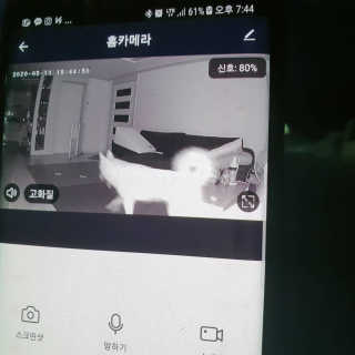 딸랑구둘🥰님이 올린 리뷰 사진 2
