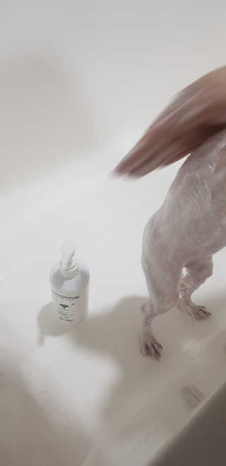 푸카카님이 올린 리뷰 사진 3