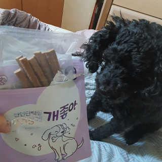 My Pet Care 천연단백질 치아건강에 개좋아 — 5점을 준 리뷰어가 2020년 11월 올린 사용 사진