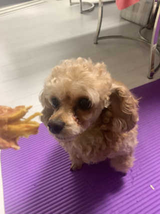 랑이님이 올린 리뷰 사진 1