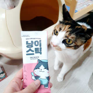 JENNY님이 올린 리뷰 사진 1