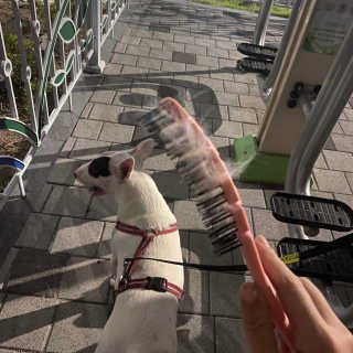 유니님이 올린 리뷰 사진 3