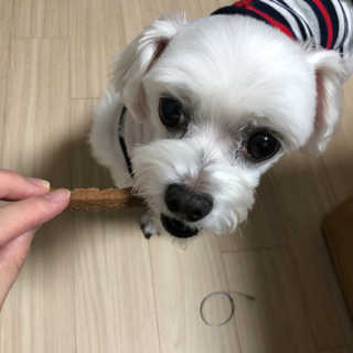 Sooing님이 올린 리뷰 사진 3