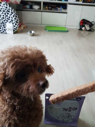 My Pet Care 천연단백질 치아건강에 개좋아 — 5점을 준 리뷰어가 2020년 11월 올린 사용 사진