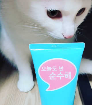 대박이님이 올린 리뷰 사진 2