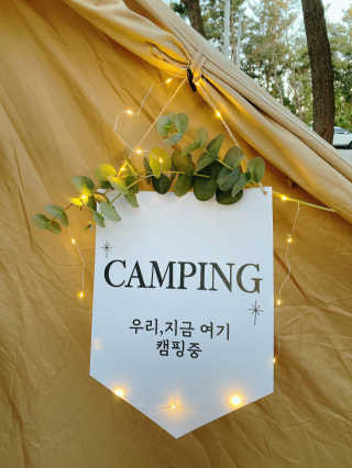 백호와님이 올린 리뷰 사진 2