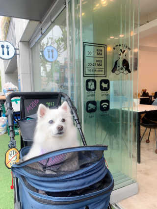 요하님이 올린 리뷰 사진 1