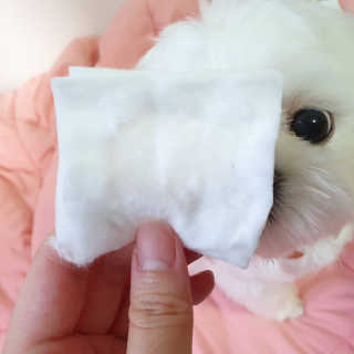 lala님이 올린 리뷰 사진 2