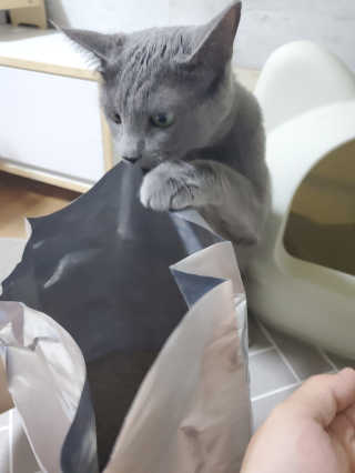 보리엄마님이 올린 리뷰 사진 4