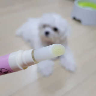 더펫원츠 [댕냥이 치석제거 덴탈오일] 치카오일+셀프스케일러 — 5점을 준 리뷰어가 2020년 5월 올린 사용 사진
