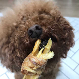 댕댕언니님이 올린 리뷰 사진 3