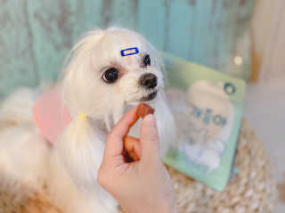 My Pet Care 천연단백질 눈건강에 개좋아 — 4점을 준 리뷰어가 2020년 11월 올린 사용 사진