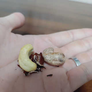이재섭님이 올린 리뷰 사진 3