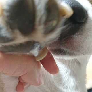 beaglelove님이 올린 리뷰 사진 3