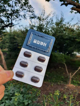 조은약초 꿀잠큐어 제주 감태추출물 감태정 600mg — 5점을 준 리뷰어가 2020년 6월 올린 사용 사진