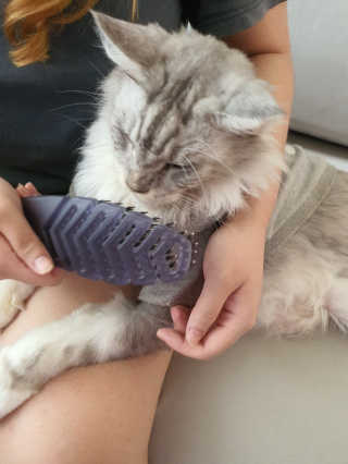 Jane Ng님이 올린 리뷰 사진 2