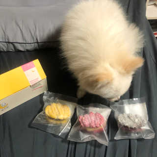 jisun3392님이 올린 리뷰 사진 1