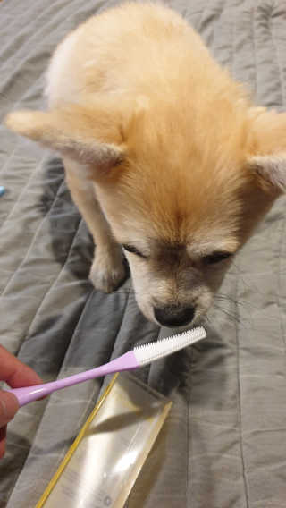 좋아님이 올린 리뷰 사진 3