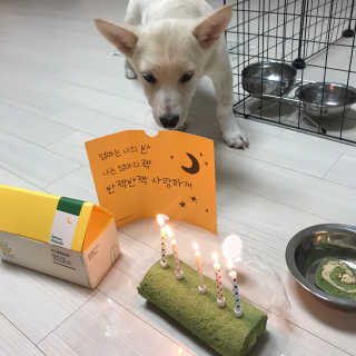 bonniemooon님이 올린 리뷰 사진 2