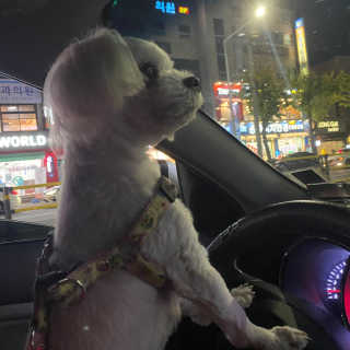 버츠비 케어플러스 릴리빙포앤노즈로션 — 4.5점을 준 리뷰어가 2020년 10월 올린 사용 사진