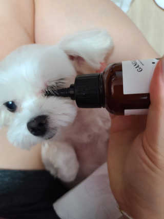 송이송이님이 올린 리뷰 사진 3