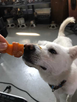 Jenny님이 올린 리뷰 사진 1