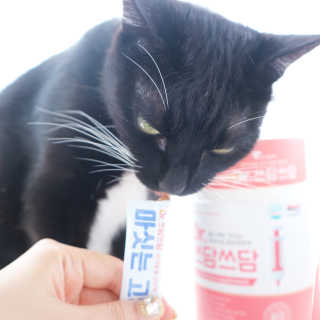 모리님이 올린 리뷰 사진 2