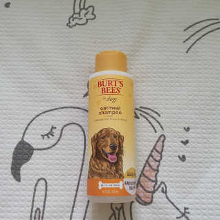 찬이애비님이 올린 리뷰 사진 1