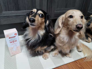 My Pet Care 모발과 모질 피부건강에 개좋아 — 5점을 준 리뷰어가 2020년 11월 올린 사용 사진