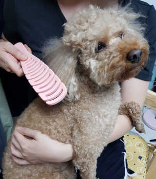 진진바님이 올린 리뷰 사진 3
