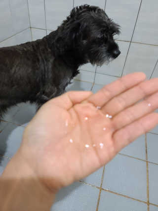 푸름님이 올린 리뷰 사진 2