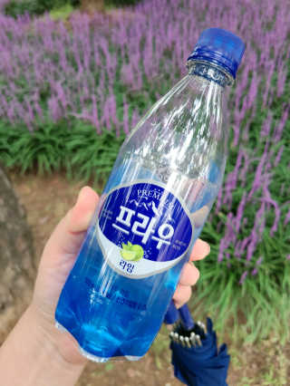 롱롱님이 올린 리뷰 사진 1