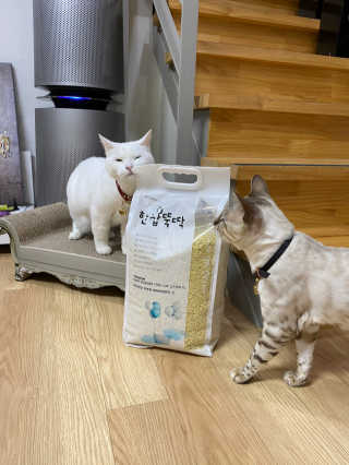 H님이 올린 리뷰 사진 4
