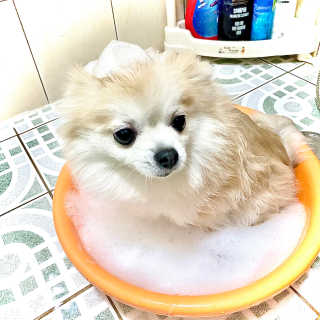 천사님이 올린 리뷰 사진 3