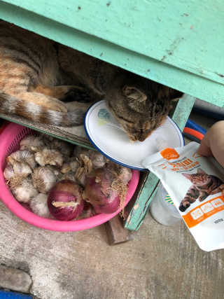 유영경님이 올린 리뷰 사진 3