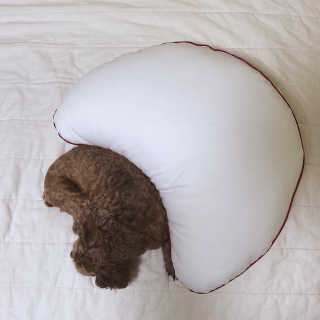 Yukieㅡe님이 올린 리뷰 사진 2