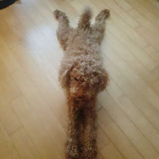 제이드님이 올린 리뷰 사진 3