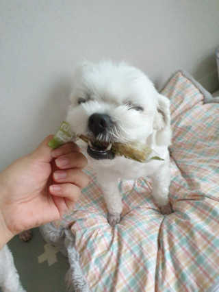 뽀야님이 올린 리뷰 사진 4