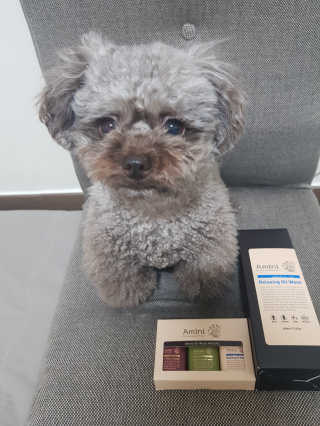 영이꿍님이 올린 리뷰 사진 2