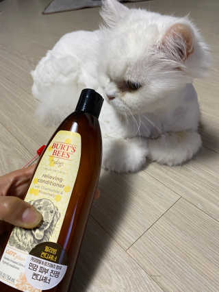 해리님이 올린 리뷰 사진 4