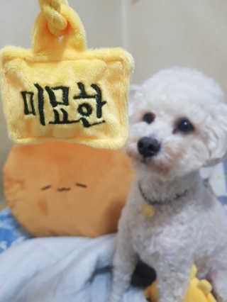 크림푸님이 올린 리뷰 사진 1