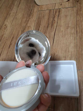 뽀오오옹님이 올린 리뷰 사진 1