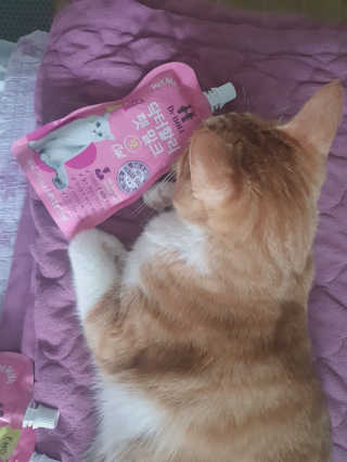시나님님이 올린 리뷰 사진 3