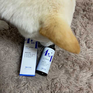 깡자맘님이 올린 리뷰 사진 2