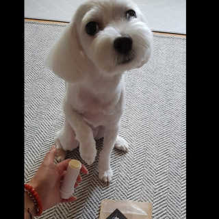 에스힐드님이 올린 리뷰 사진 3